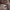 De BBQ Store, S3 Premium Steakmessen – Set van 6 - foto 3