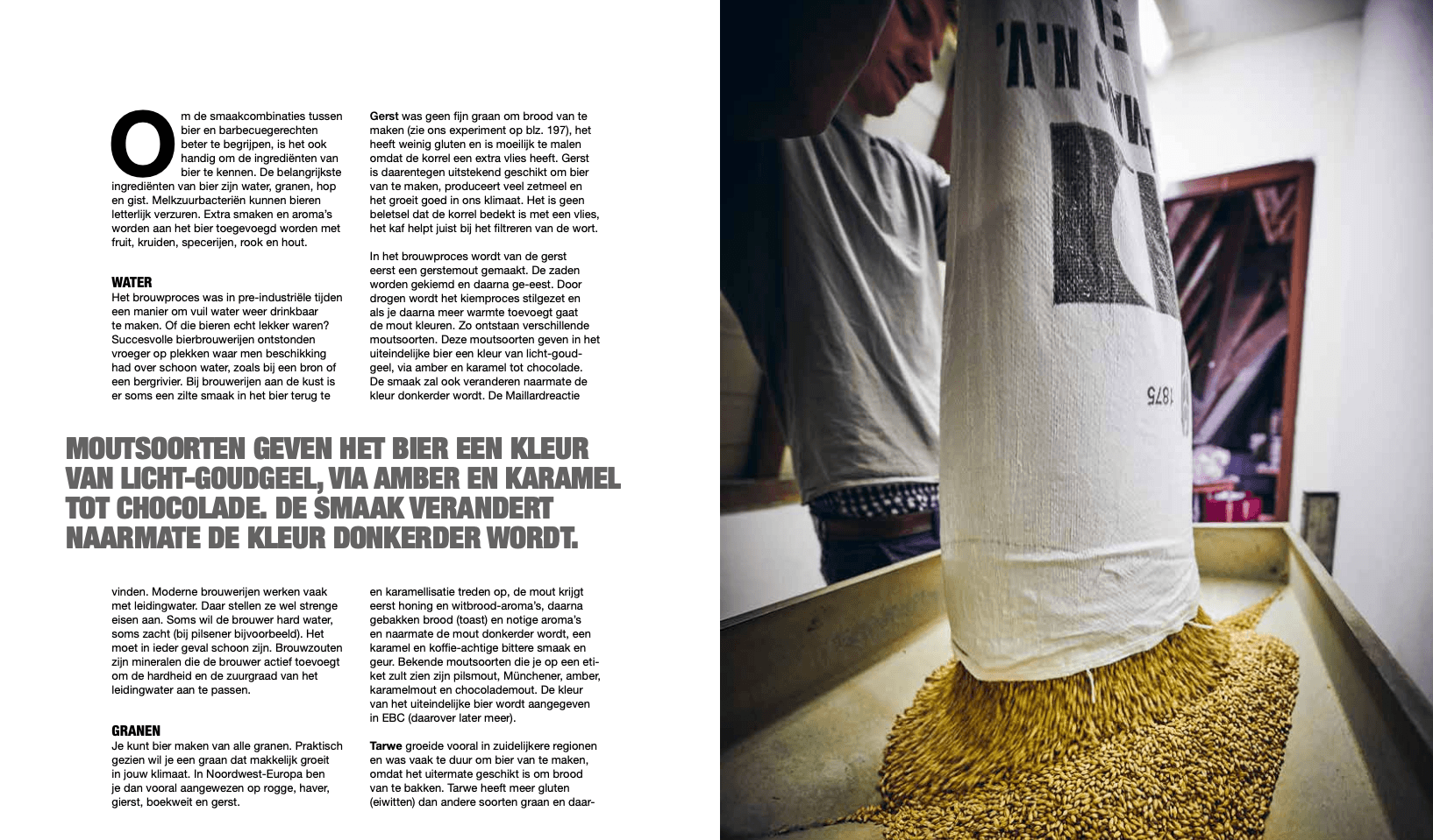 Het Ultieme bier- en BBQboek