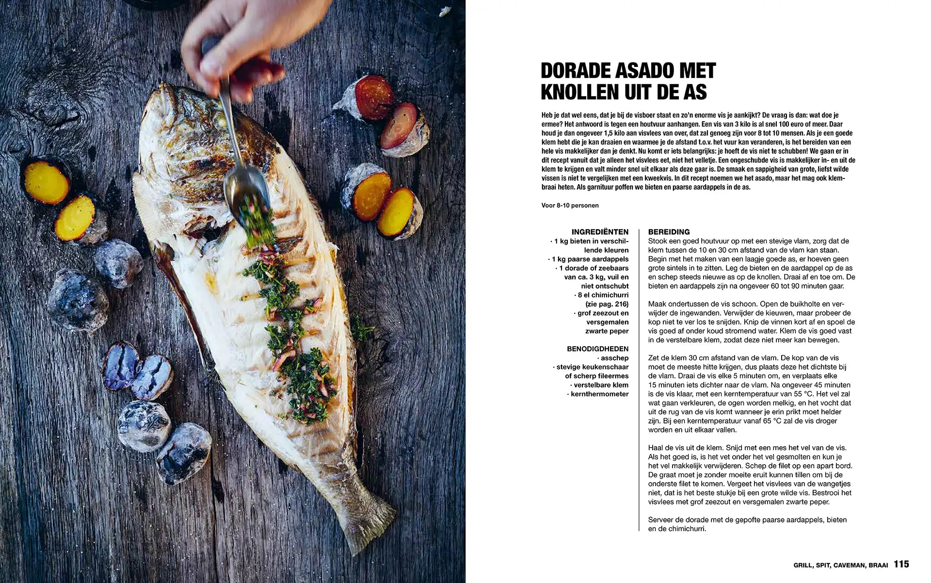 Het Ultieme Open Vuur- en Braaiboek