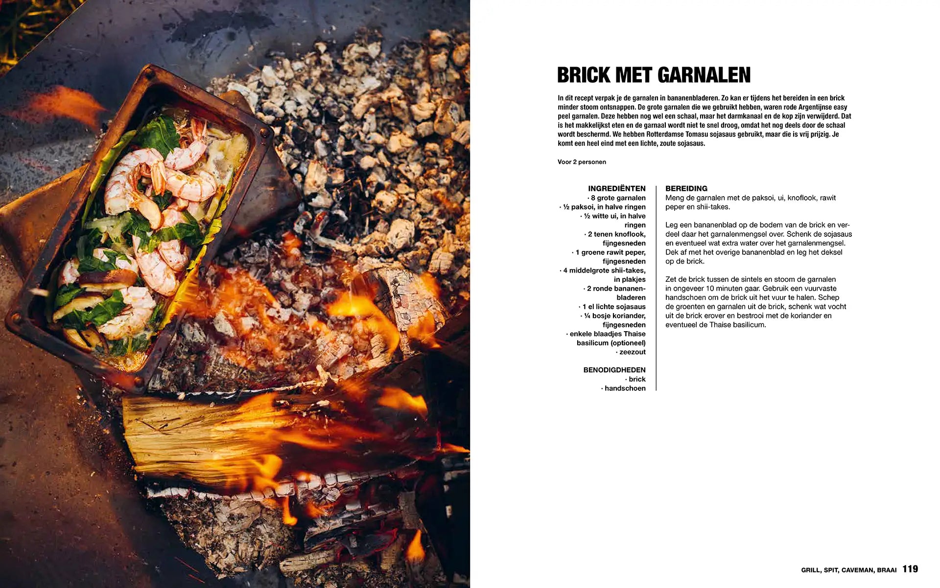 Het Ultieme Open Vuur- en Braaiboek