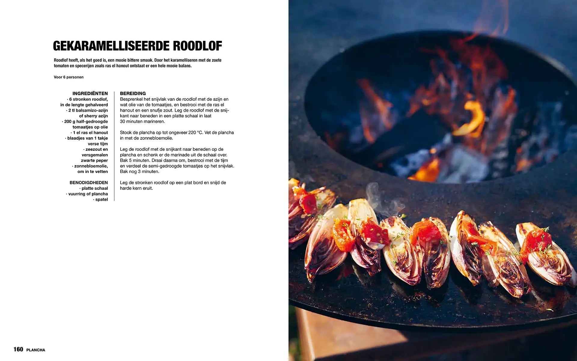 Het Ultieme Open Vuur- en Braaiboek