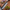 De BBQ Store, HB7 Nakiri – Hammer Black (17,5 cm) - foto 4