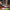 De BBQ Store, HB10 Santoku – Hammer Black (17,5 cm) - foto 5