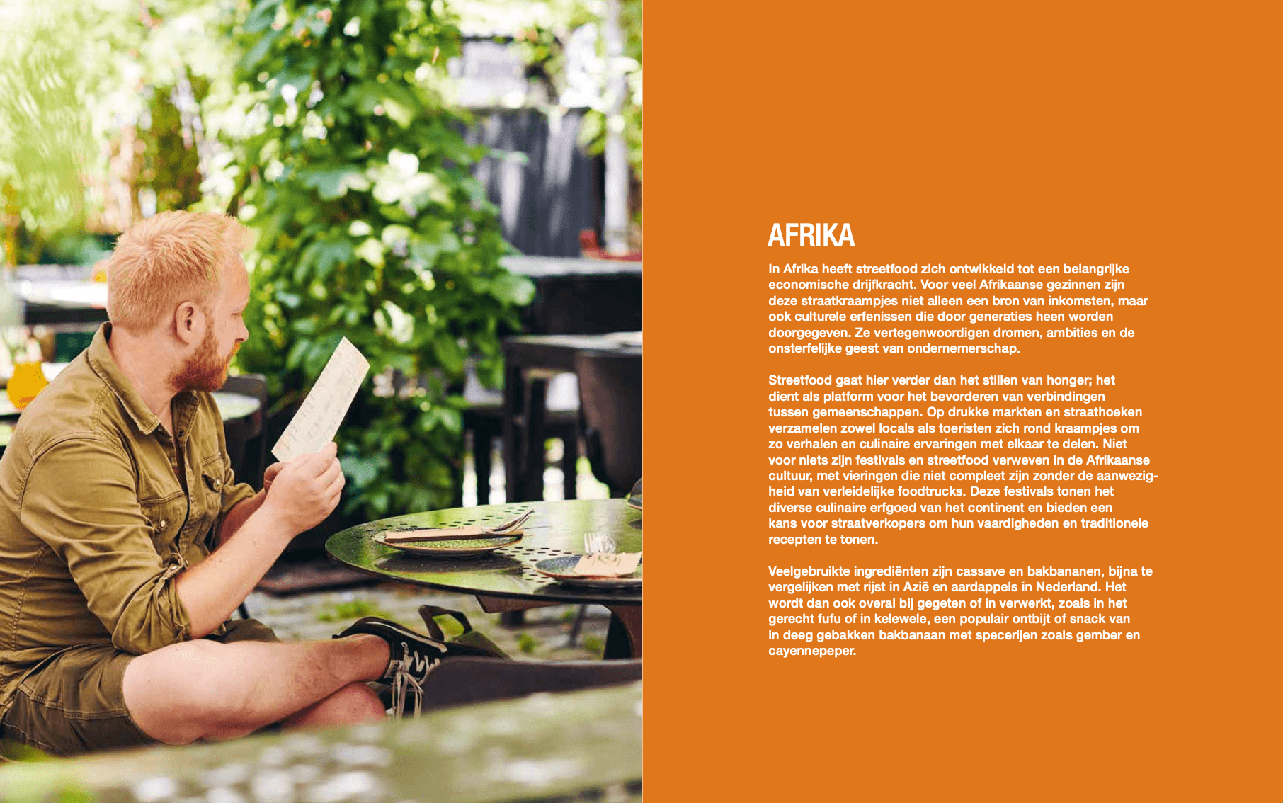 Het Ultieme Streetfoodboek