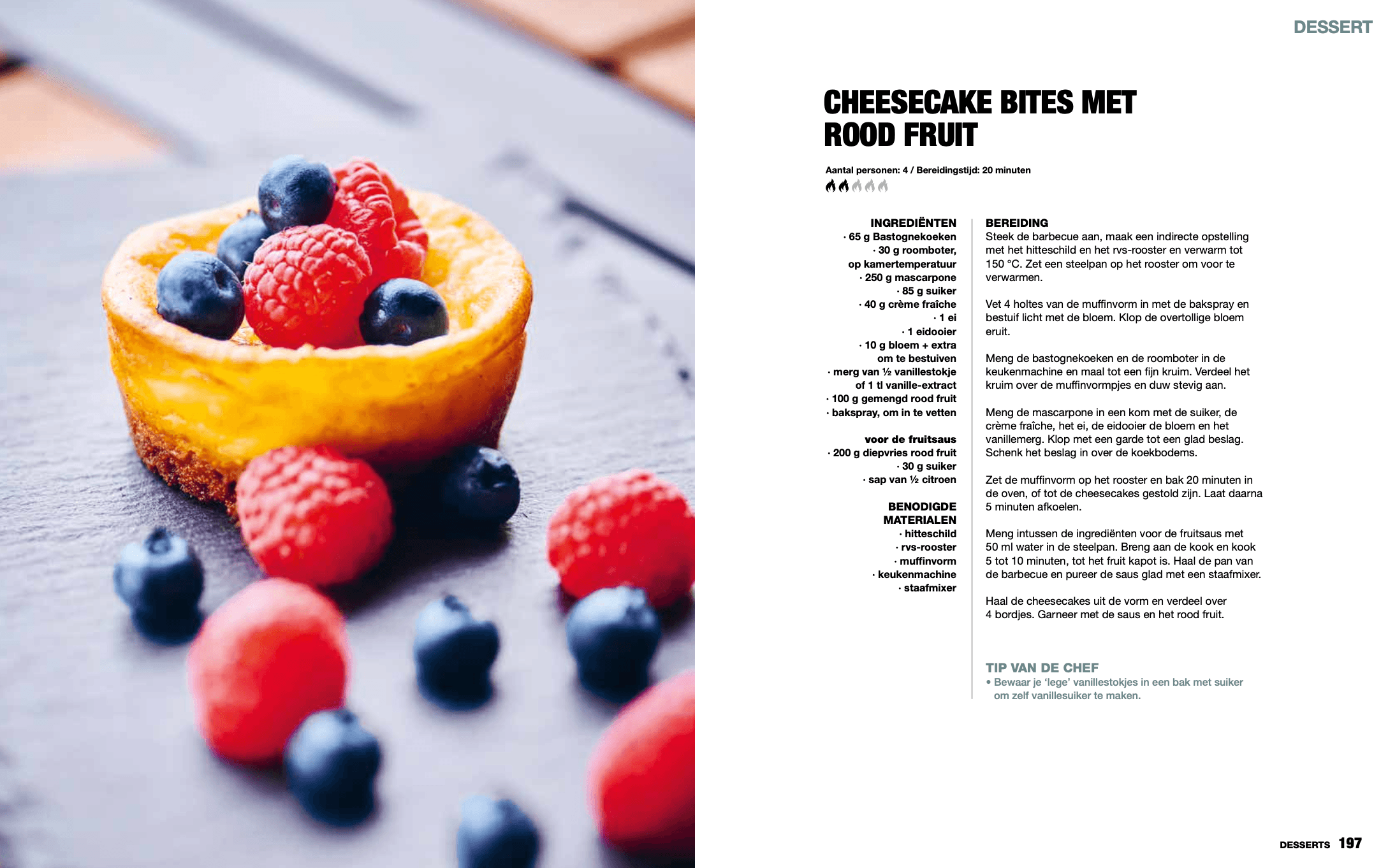 De Ultieme BBQgerechten in 30 minuten