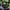 De BBQ Store, Yakiniku Shichirin Rechthoek Medium - foto 3